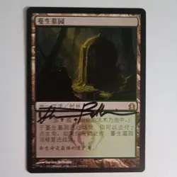 Magic The Gathering - 1x Signed Overgrown Tomb (mtg) Chinese Return to Ravnica - Image 1