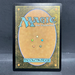2025 MTG MARVEL'S SPIDER-MAN PLAINS 0189 FOIL (LAND) - Image 2