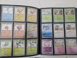 Pokemon Binder Lot x 171, Gem Pack, Jpn, Chinese Exclusive, Masterball, AR, Mega - Image 2