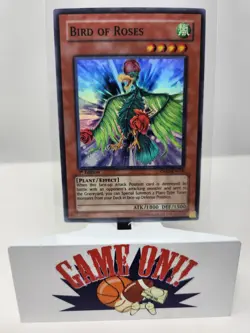 YuGiOh Bird of Roses TSHD-EN018 1st Edition Super Rare NM - Image 1