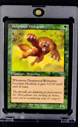 1999 MTG Magic The Gathering Mercadian Masques #242 Deepwood Wolverine WOTC NM - Image 1