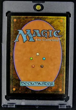 1999 MTG Magic The Gathering Mercadian Masques #242 Deepwood Wolverine WOTC NM - Image 2