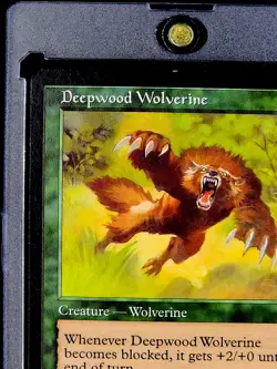 1999 MTG Magic The Gathering Mercadian Masques #242 Deepwood Wolverine WOTC NM - Image 4