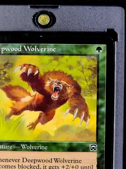 1999 MTG Magic The Gathering Mercadian Masques #242 Deepwood Wolverine WOTC NM - Image 5