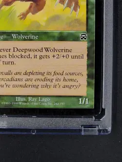 1999 MTG Magic The Gathering Mercadian Masques #242 Deepwood Wolverine WOTC NM - Image 6