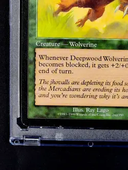 1999 MTG Magic The Gathering Mercadian Masques #242 Deepwood Wolverine WOTC NM - Image 7