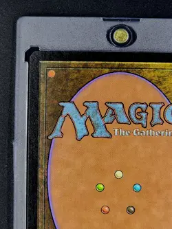 1999 MTG Magic The Gathering Mercadian Masques #242 Deepwood Wolverine WOTC NM - Image 8