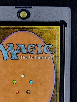 1999 MTG Magic The Gathering Mercadian Masques #242 Deepwood Wolverine WOTC NM - Image 9