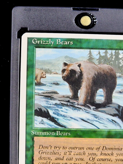 1995 MtG Magic The Gathering Fourth Core 4th Edition Grizzly Bears Vintage Card - Image 4