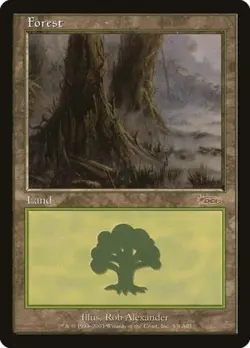 MTG English Forest (2003) NM Normal Promos: Arena - Image 1