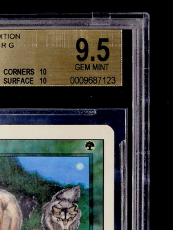1994 MTG Magic the Gathering Revised Timber Wolves Rare BGS 9.5 Gem Mint POP 15 - Image 5