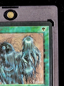 1994 MTG Magic The Gathering Fallen Empires Thallid Art Variant 3 Green Vintage - Image 5