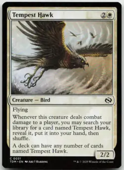MTG Tempest Hawk C Tarkir: Dragonstorm 31 LP - Image 1