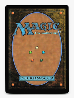 Windcrag Siege (Borderless) - [Tarkir: Dragonstorm] MTG Magic NM/M 🔥⚪ - Image 4