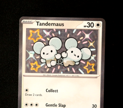 Pokemon Card TCG - Tandemaus 209/091 - Paldean Fates - Baby Shiny Rare - NM ⭐ - Image 2