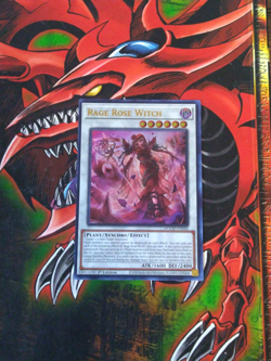 Rage Rose Witch - DOOD-EN040 - Ultra Rare - 1st Edition Yugioh NM - Image 1