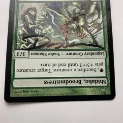 Orochi Eggwatcher Card Signed By Dan Scott MTG, Artist Proof - Image 4