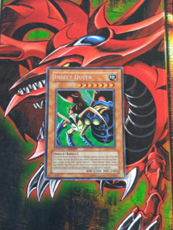 Insect Queen - CT1-EN005 - Secret Rare - Limited Edition Yugioh HP - Image 1