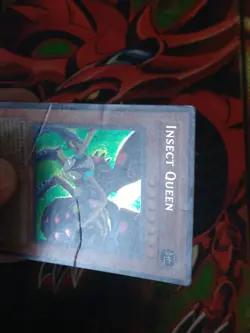 Insect Queen - CT1-EN005 - Secret Rare - Limited Edition Yugioh HP - Image 2