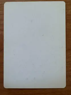 Magic MTG Karona's Zealot Artist Proof Signed Allan Pollack! Scourge SP - Image 2