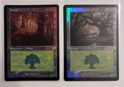 MTG - Innistrad Remastered - Foil Lands - Full Set of 12 - Image 4