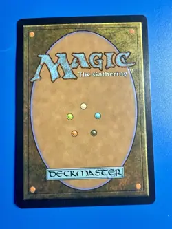 1 BANNED MTG Pradesh | French Sixth Edition 6ED 1999 Magic The Gathering | NM - Image 3
