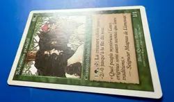 1 BANNED MTG Pradesh | French Sixth Edition 6ED 1999 Magic The Gathering | NM - Image 4
