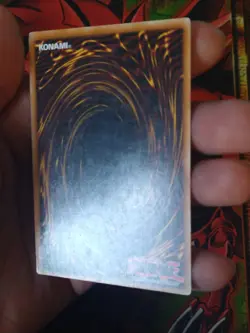 Harpie Lady 3 - RDS-EN019 - Common - 1st Edition Yugioh LP - Image 5