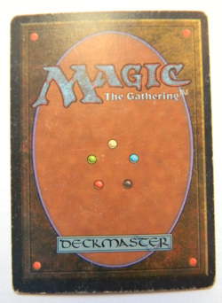 SAVANNAH : UNLIMITED : MTG : 1993 : GOOD: SEE PHOTO'S:MULTILAND - Image 2