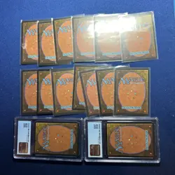 MTG Complete BETA land set, all 15, MINT/NM, Original 1993 release - Image 2