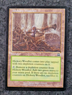 1x Hickory Woodlot - Mercadian Masques - NM - MTG MINT (DS3D1L1) - Image 3