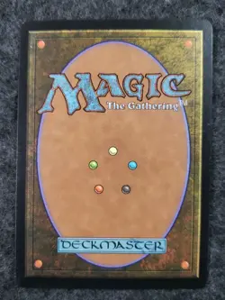 1x Hickory Woodlot - Mercadian Masques - NM - MTG MINT (DS3D1L1) - Image 4