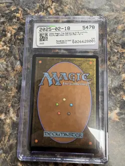 2022 MTG Unfinity Forest #244 Borderless Foil CGC 8.5 NM-MT+ Magic The Gathering - Image 3