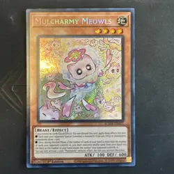 Yugioh! LP Mulcharmy Meowls - SUDA-EN025 - Secret Rare - 1st Edition Lightly Pla - Image 1