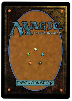 Swan Song 1591 Non Foil English Borderless Secret Lair MTG Near Mint - Image 2