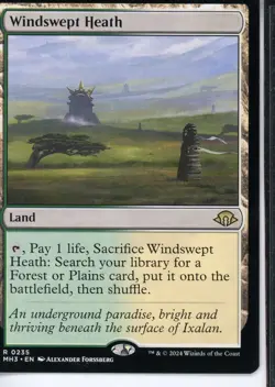 2025 Magic the Gathering Windswept Heath Land Modern Horizons Near Mint - Image 1