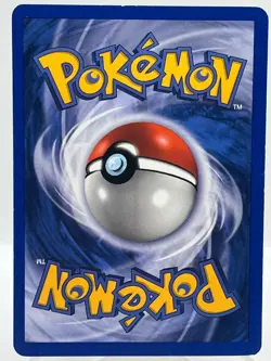 Meowth #013 Nintendo Black Star Promo Tin 2003 Holo Rare Pokemon TCG Card - Image 3