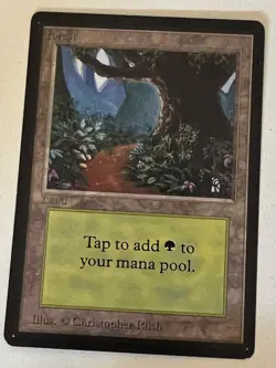 Magic the Gathering MTG Beta Forest v.1 (PATH) LP (Beta Bob) - Image 1