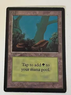 Magic the Gathering MTG Beta Forest v.2 (FOG) MP (Beta Bob) - Image 1