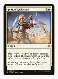 Feat of Resistance | Khans of Tarkir (KTK) | MTG | +1/+1 | Protection | LP - Image 1