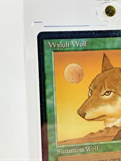 VINTAGE ARABIAN NIGHTS - Wyluli Wolf (Light) - MTG Magic the Gathering Card - Image 2