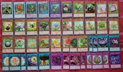 YUGIOH Naturia Deck 45 Cards Beast *Barkion* Exterio *Bamboo Shoot* - Image 1