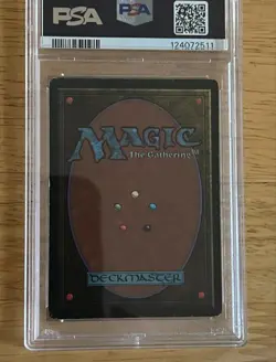 Bayou Revised Edition Regular - Image 2