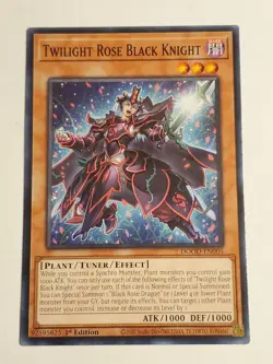 Twilight Rose Black Knight DOOD-EN005 C Doom of Dimensions NM 1st Ed Yugioh - Image 1