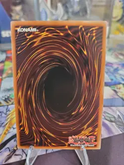 Blue-Eyes Spirit Dragon SDWD-EN038 Structure Deck Common Yugioh Card - Image 2