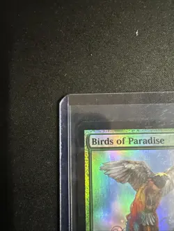 MTG Buy a Box Promo Birds of Paradise Foil LP 165/249 - Image 2