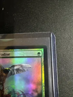 MTG Buy a Box Promo Birds of Paradise Foil LP 165/249 - Image 3