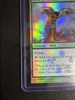 MTG Buy a Box Promo Birds of Paradise Foil LP 165/249 - Image 5