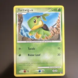 Turtwig 17/17 Common POP Series 8 Promo Pokemon Card NM/LP - Image 1