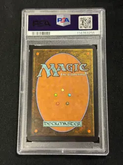 MTG Voice of Resurgence signed by artist Winona Nelson PSA 9 Auto 7 - Image 2